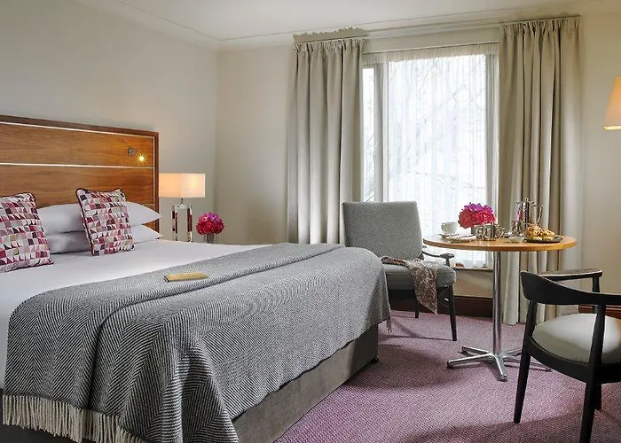 Hotel The 4*